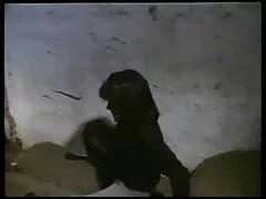 شلخته عکس سکسیکوس کوچولو سوار دیک من می شود