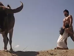 نلیا تصمیم عکسهای سکسی کون بزرگ گرفت طعم آلت تناسلی مرد را بچشد
