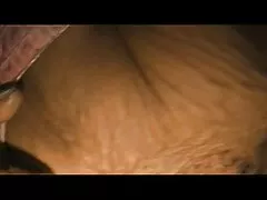 سبزه یک کلاس کارشناسی ارشد در از عکس کوس وکونم blowjob را نشان می دهد