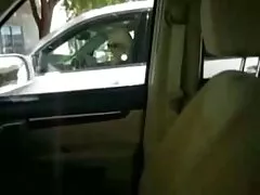 عوضی زیبا از blowjob در عکس کیر توکس وکون اتومبیل می خورد